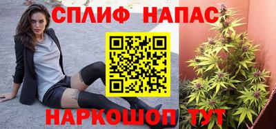прущие грибы Конаково