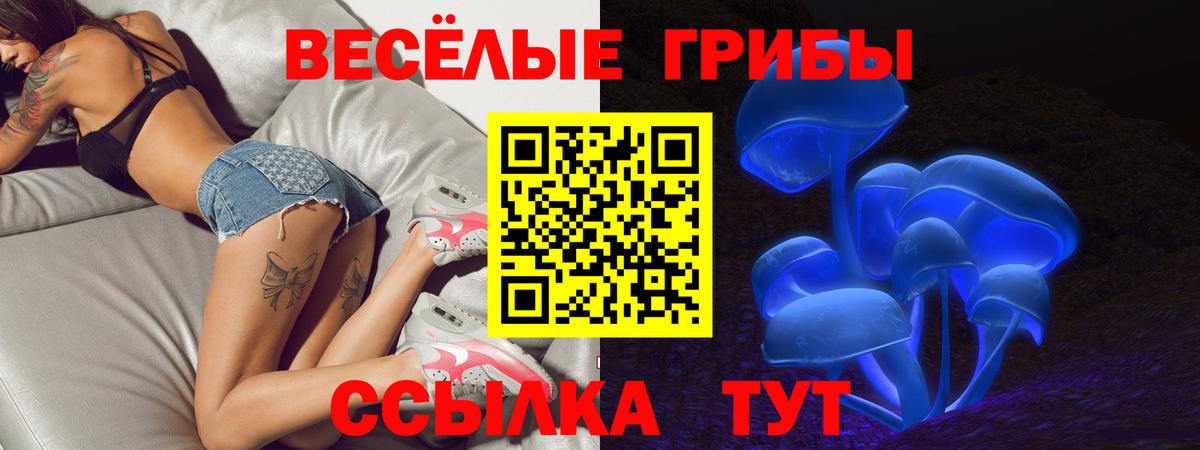 Галлюциногенные грибы Cubensis Арзамас